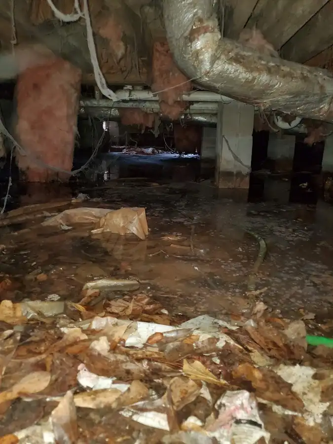 Crawl space flood assessment for Commercial Water Damage Restoration in East Port Orchard