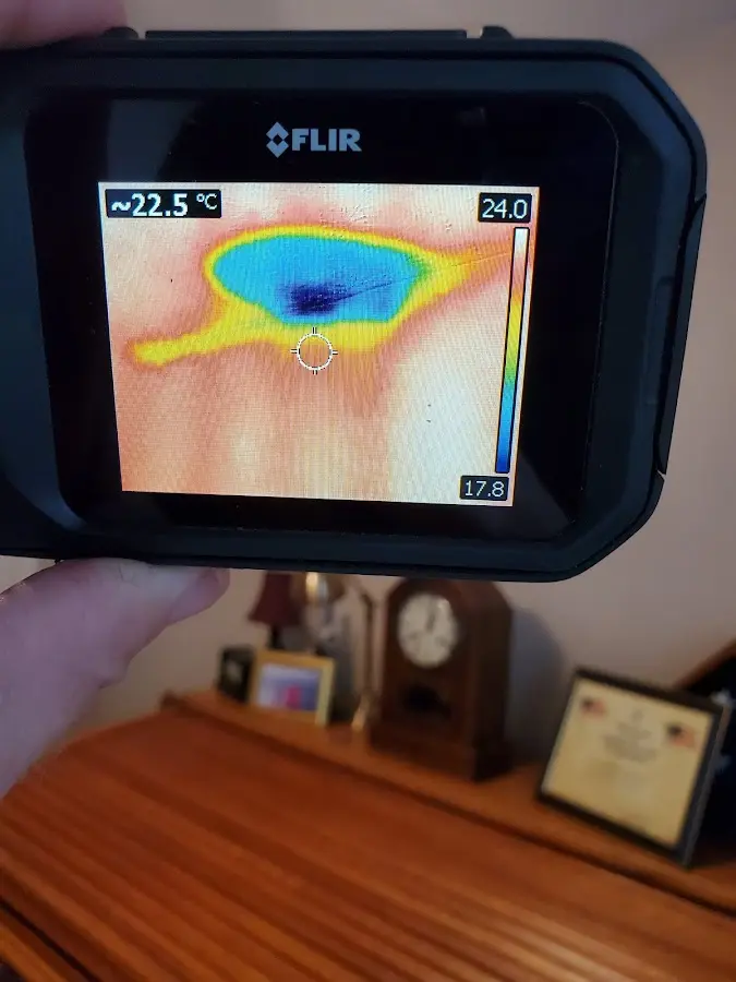 Thermal imaging inspection for water damage in East Port Orchard